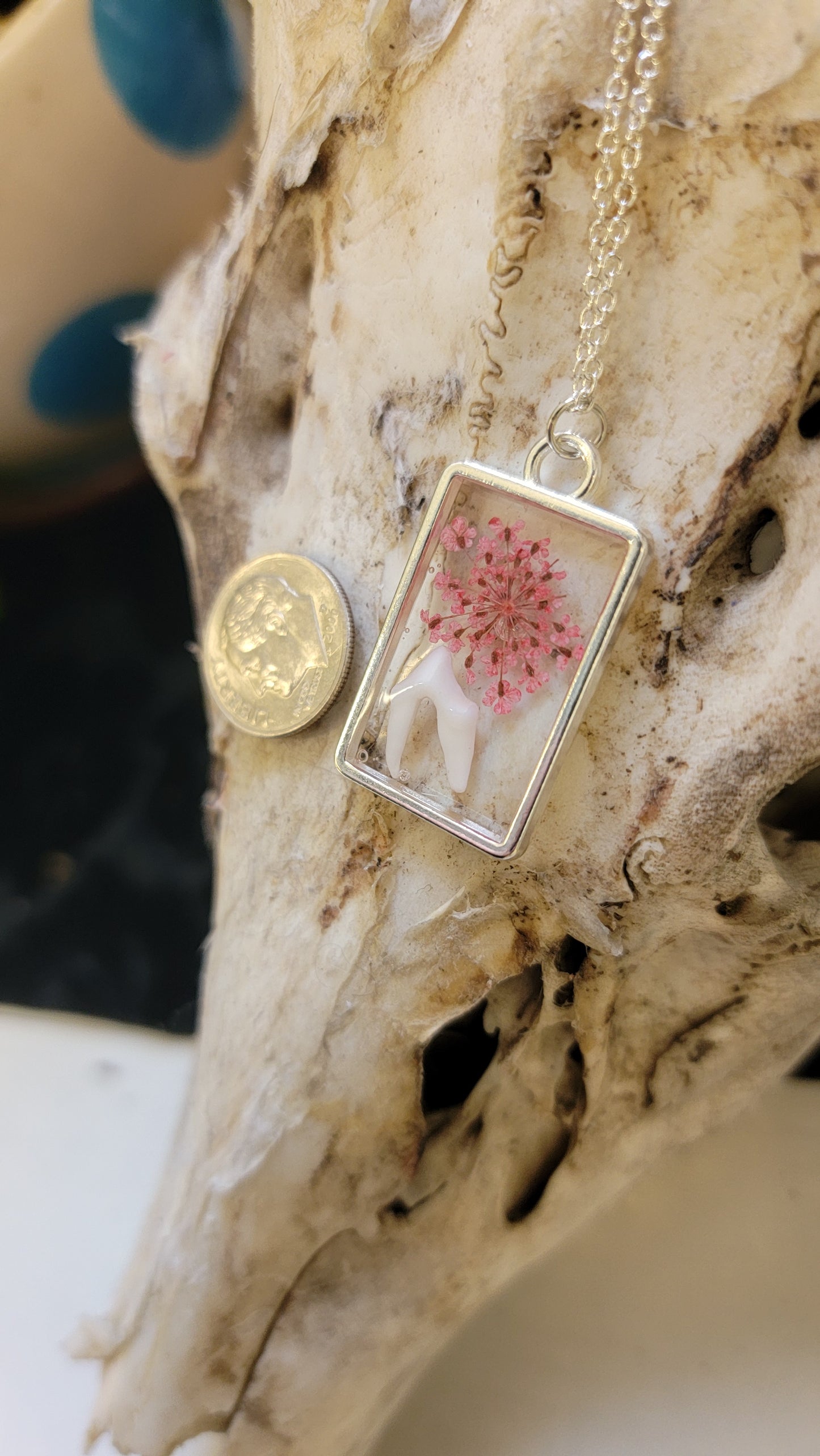 " Raccoon Tooth and Pink Floral " Necklace