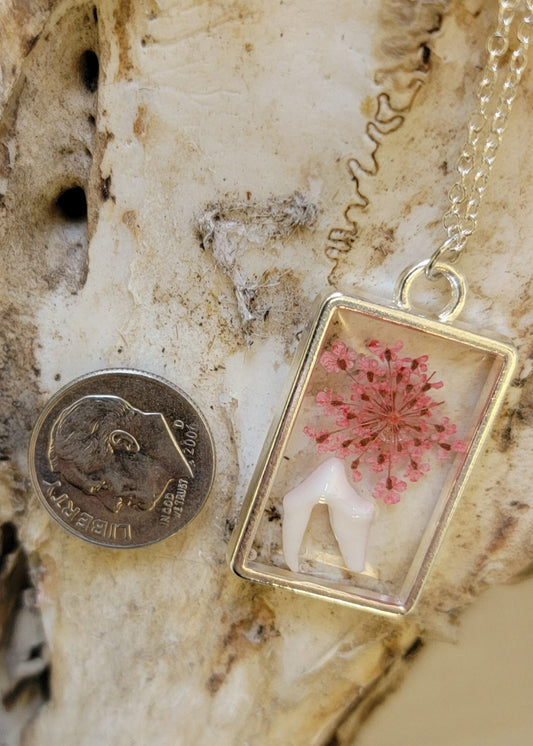 " Raccoon Tooth and Pink Floral " Necklace