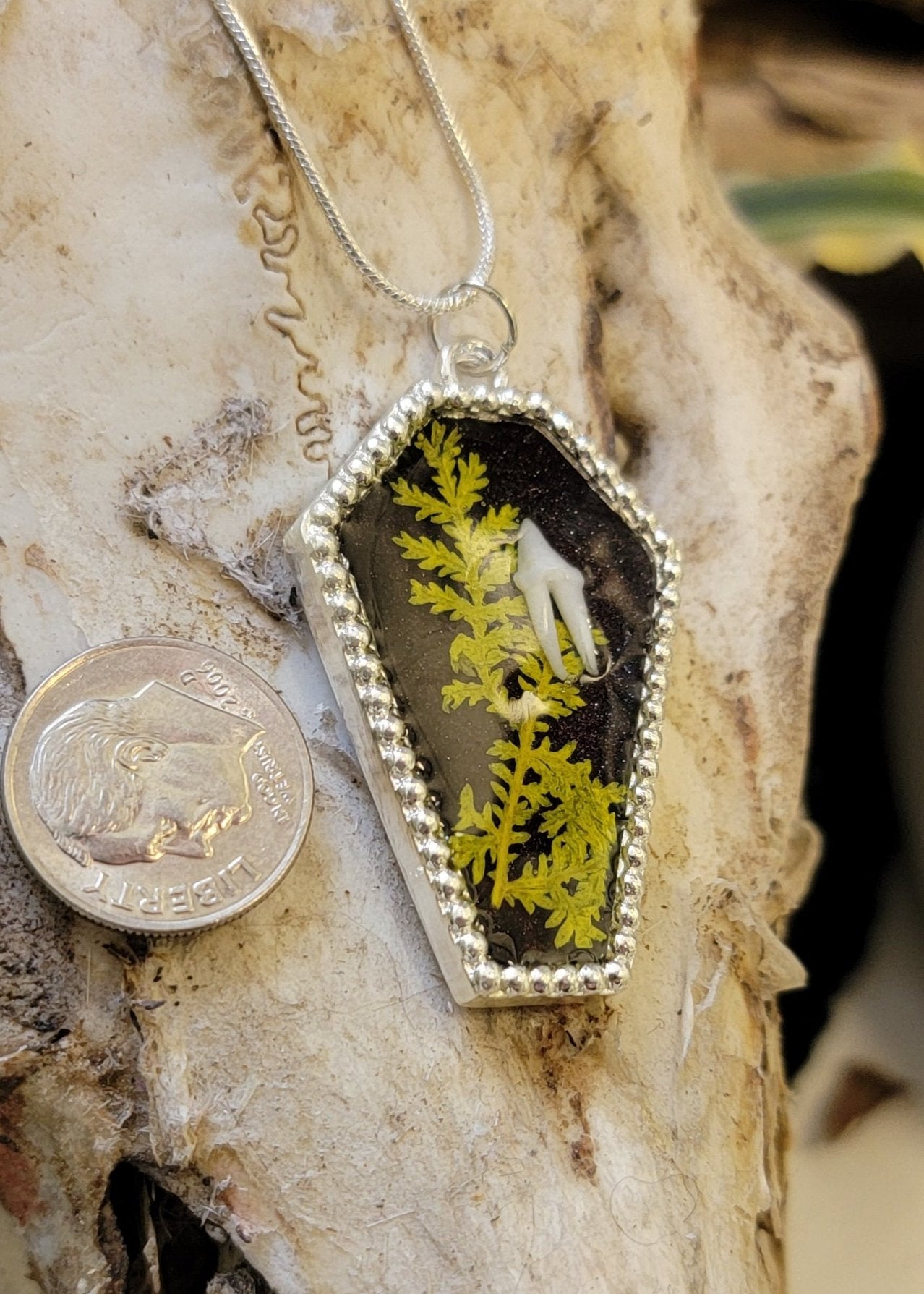 " Raccoon Tooth and Floral Coffin" Necklace