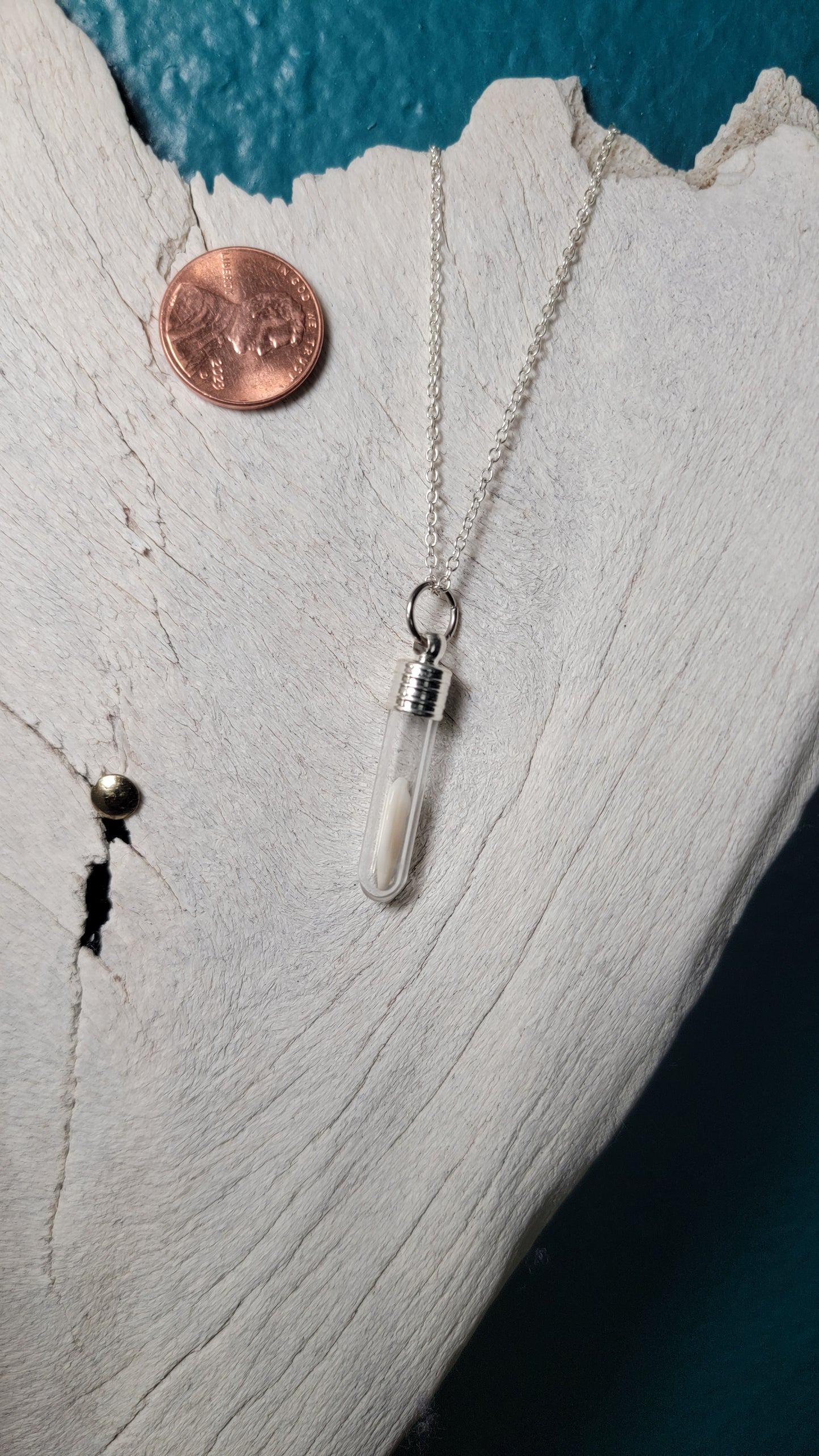 Silver Simplistic Opossum Fang Vial Necklace