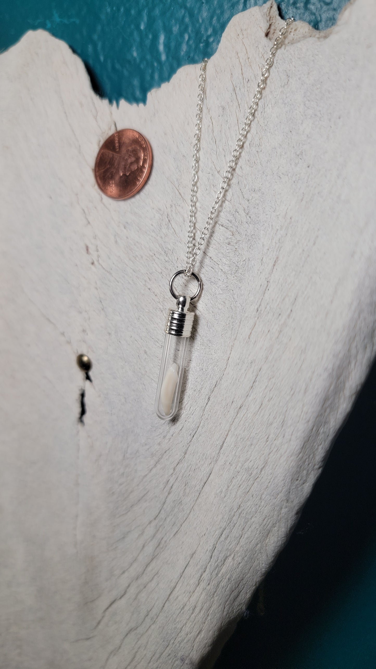 Silver Simplistic Opossum Fang Vial Necklace