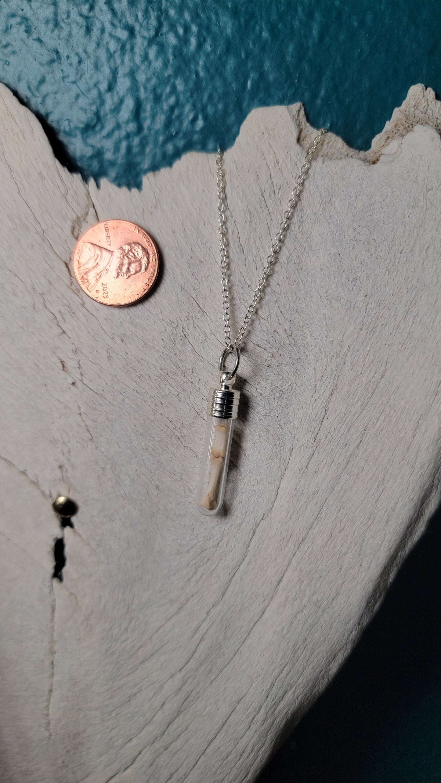 Silver Simplistic Rodent Bones Vial Necklace