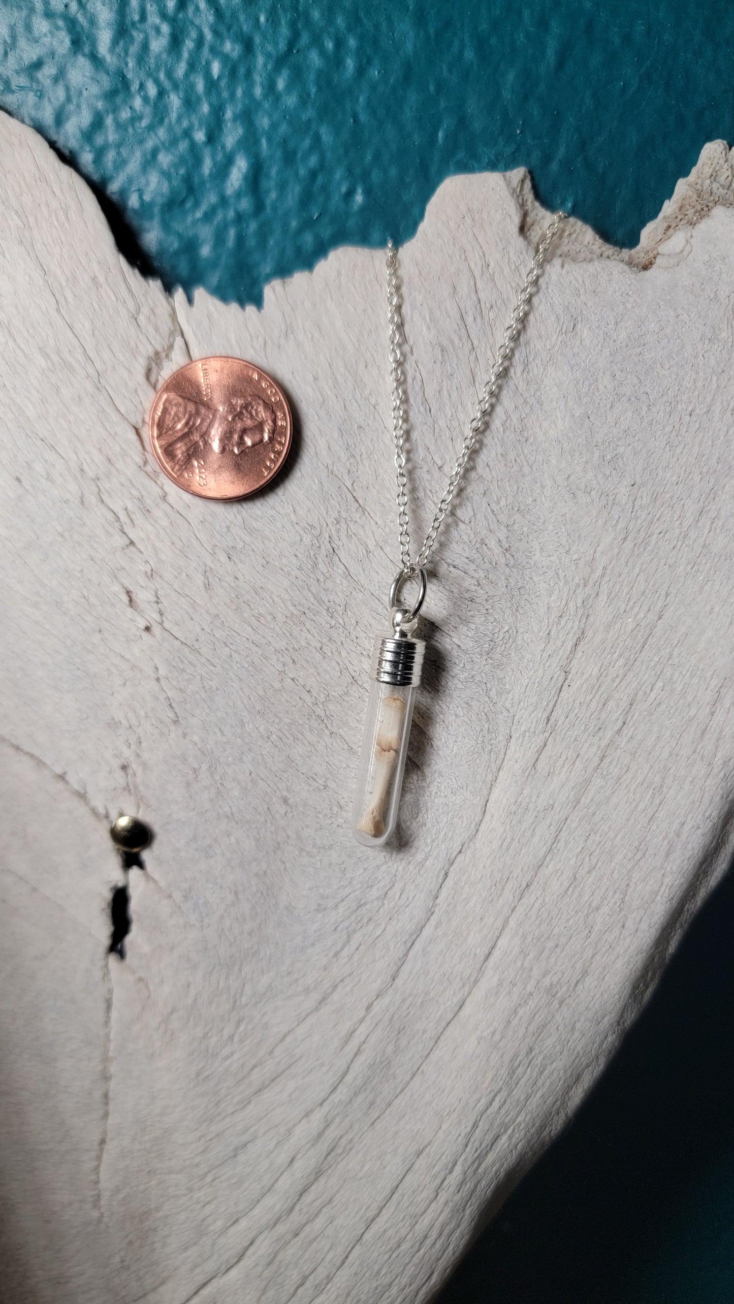 Silver Simplistic Rodent Bones Vial Necklace