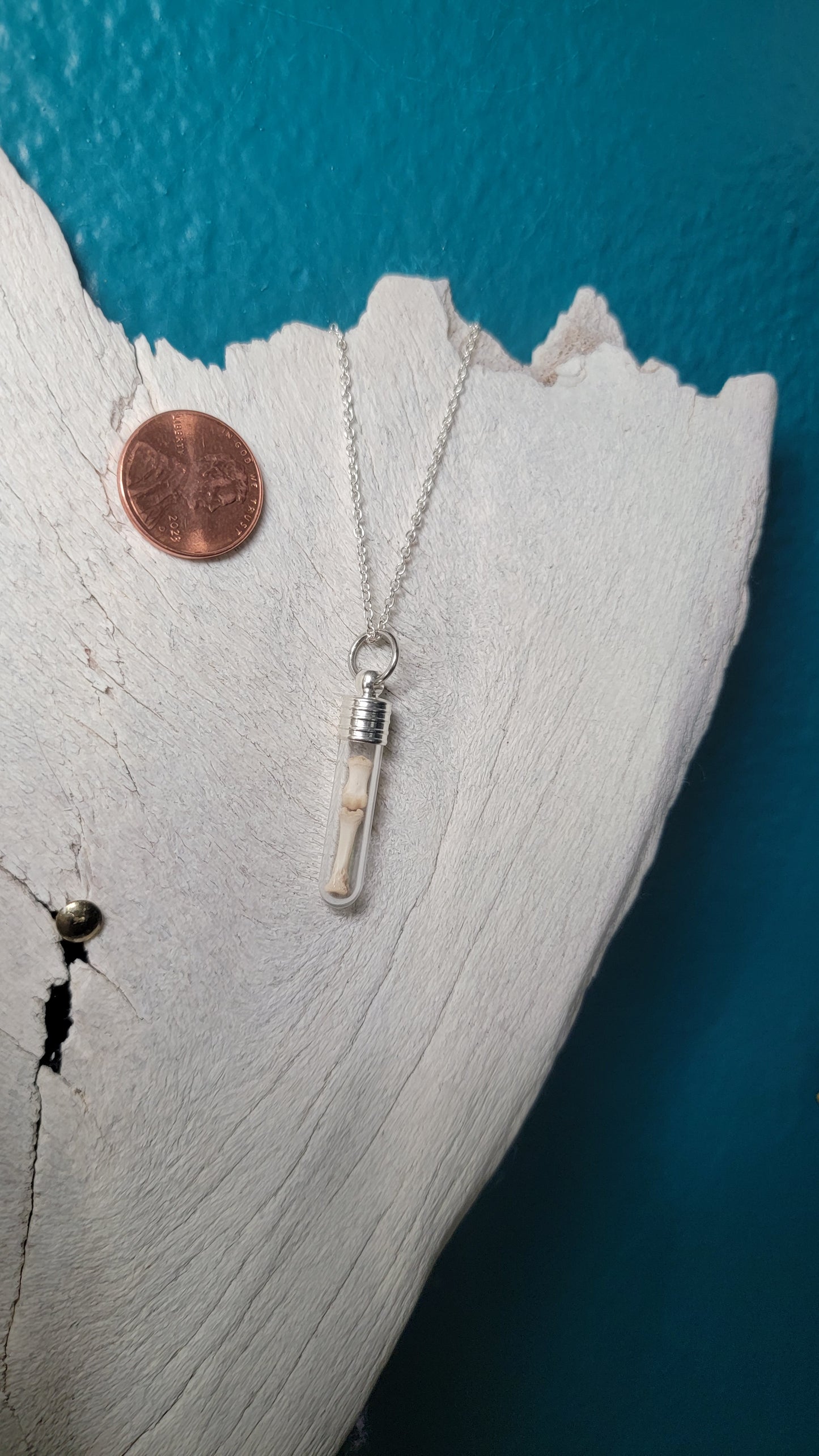 Silver Simplistic Rodent Bones Vial Necklace