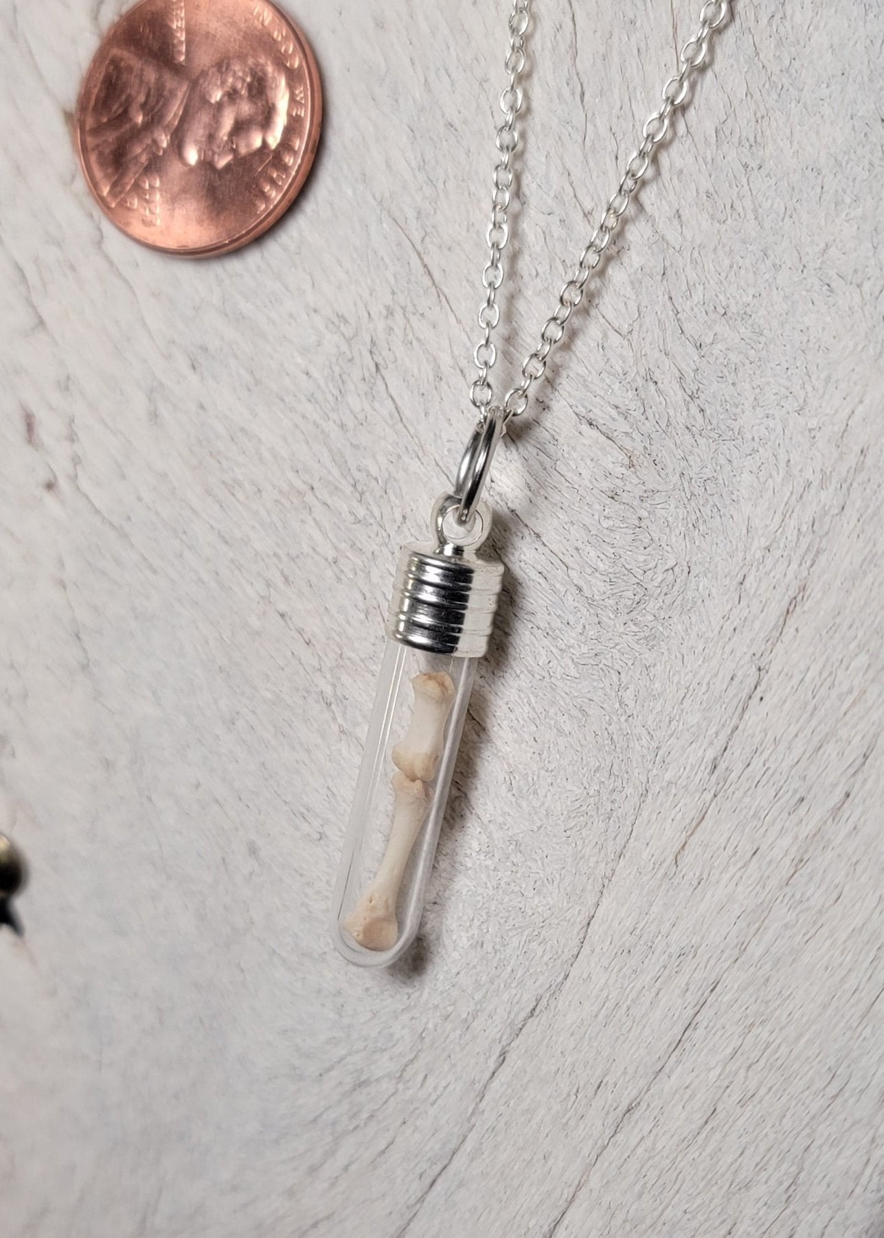 Silver Simplistic Rodent Bones Vial Necklace