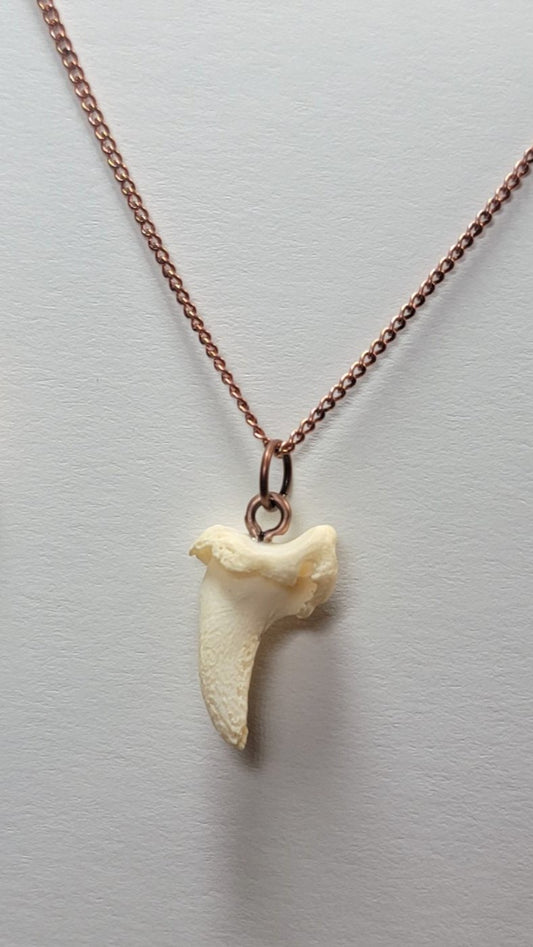 Coyote Claw Bone Necklace