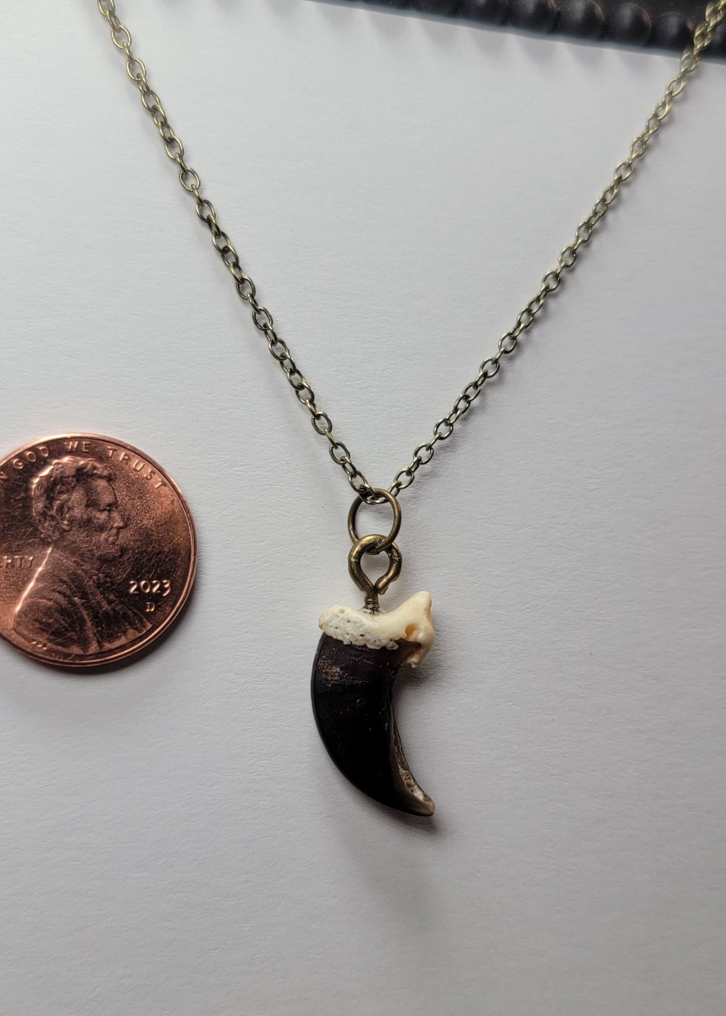 Coyote Claw Necklace