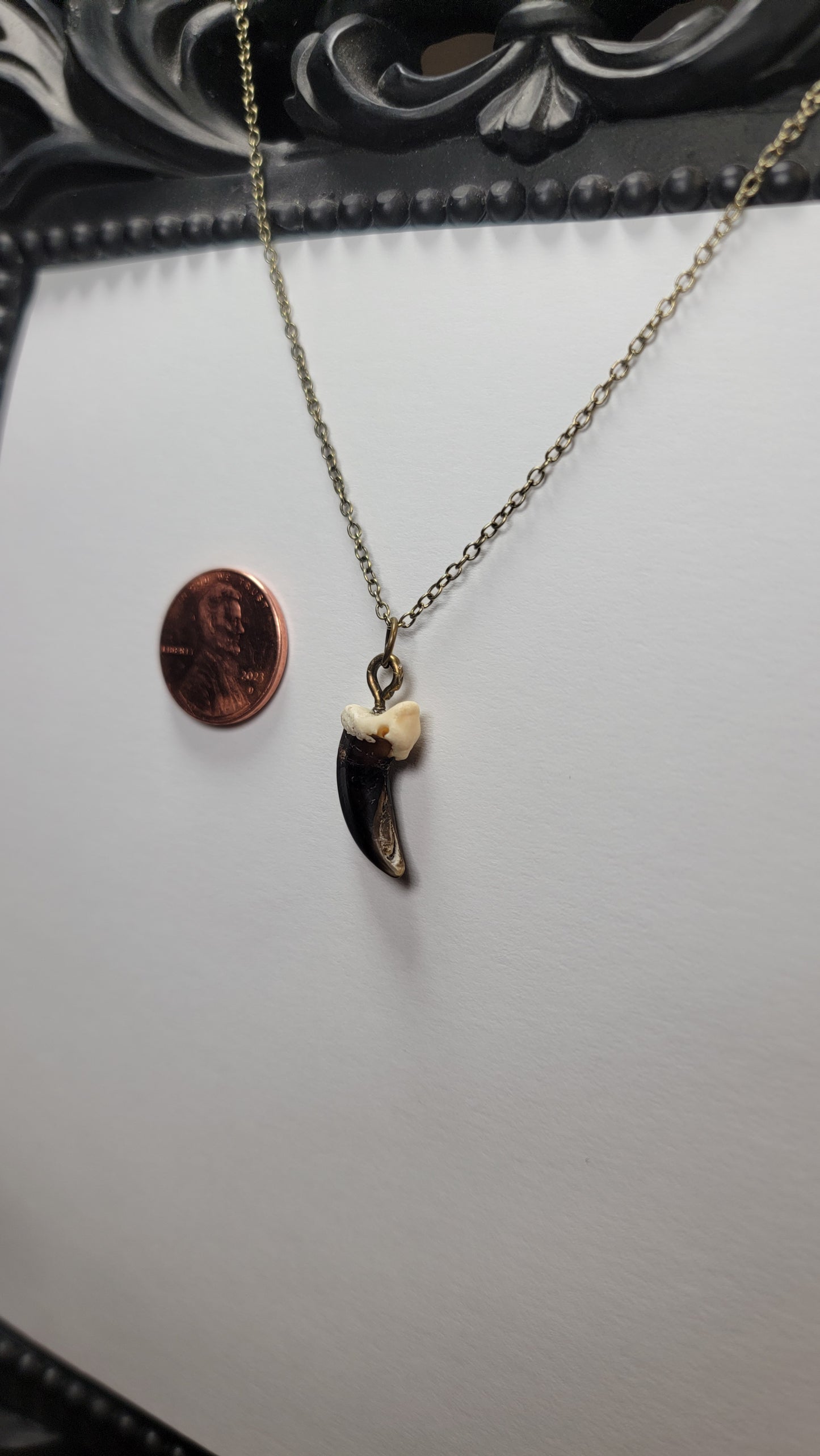 Coyote Claw Necklace