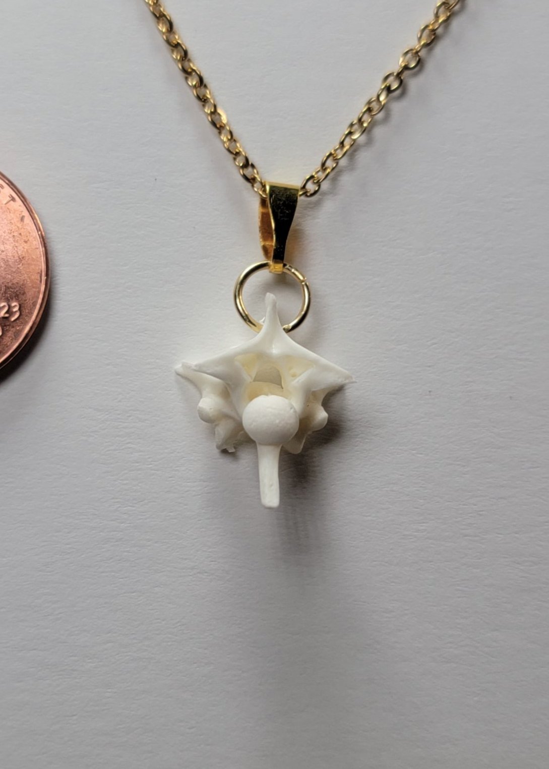 Single Rattlesnake Vertebrae Gold Chain Necklace