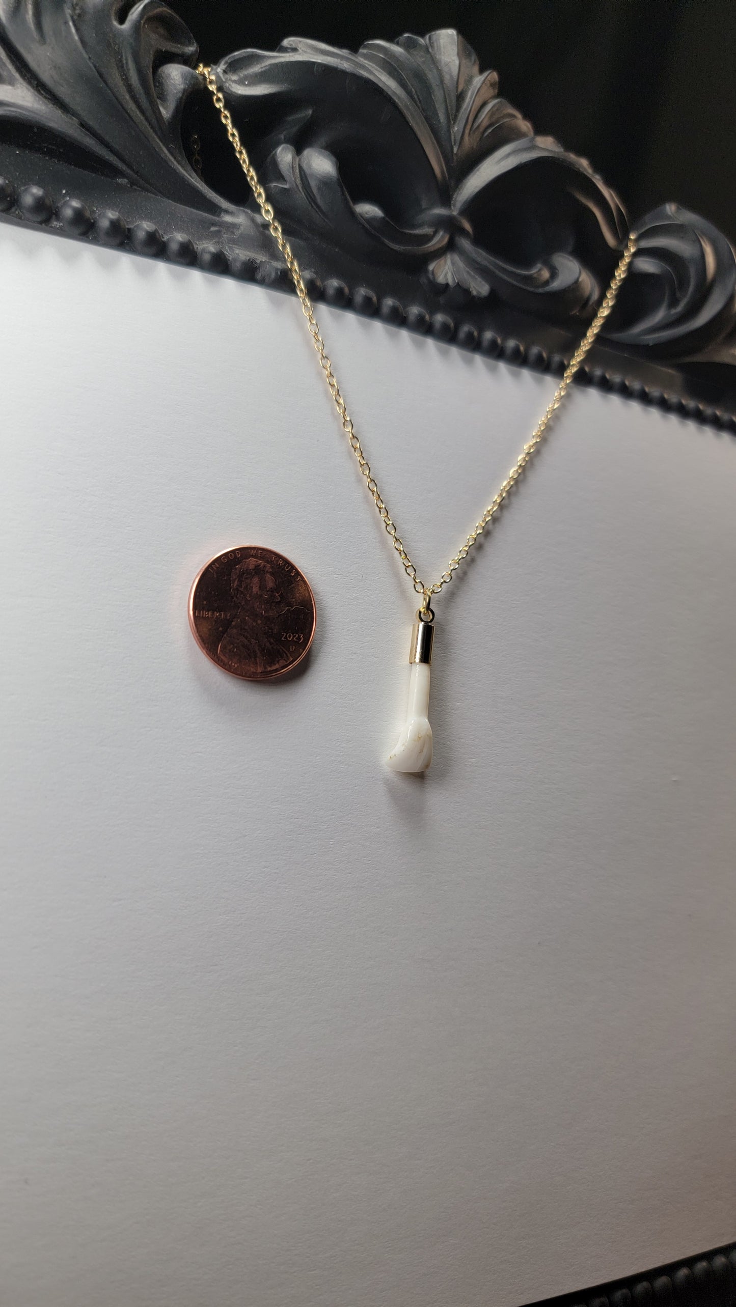 Deer Tooth Necklace Gold Chain