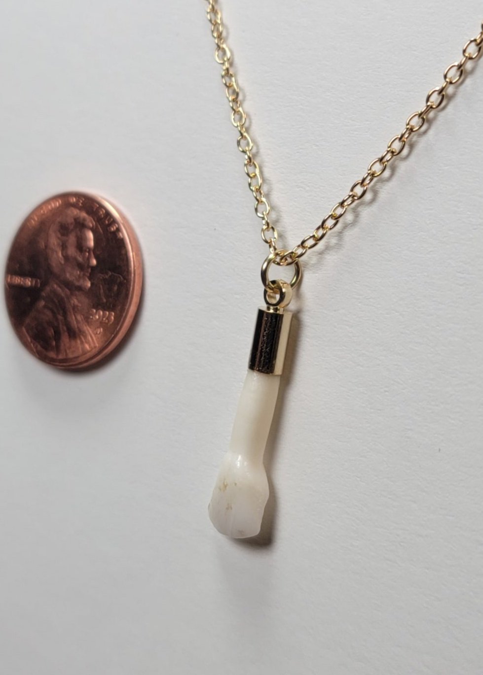 Deer Tooth Necklace Gold Chain