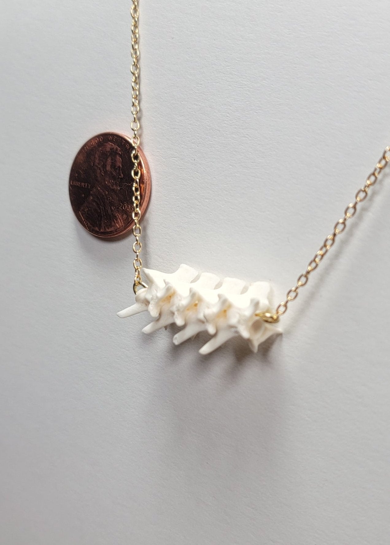 Row of Rattlesnake vertebrae Gold Necklace