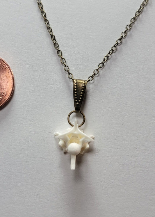 Single Rattlesnake Vertebrae Necklace