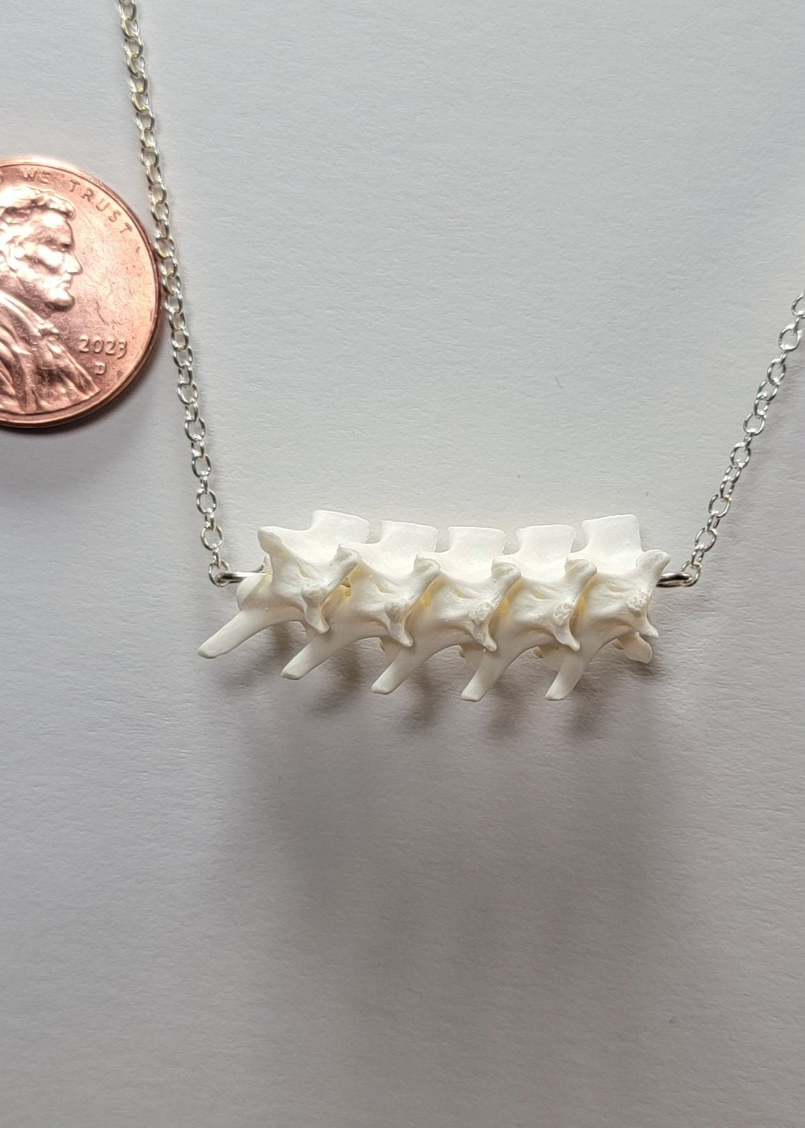 Row of Rattlesnake Vertebrae Silver Necklace