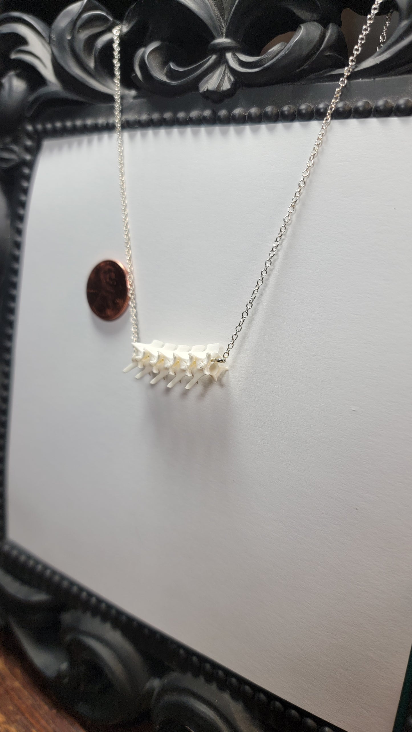 Row of Rattlesnake Vertebrae Silver Necklace