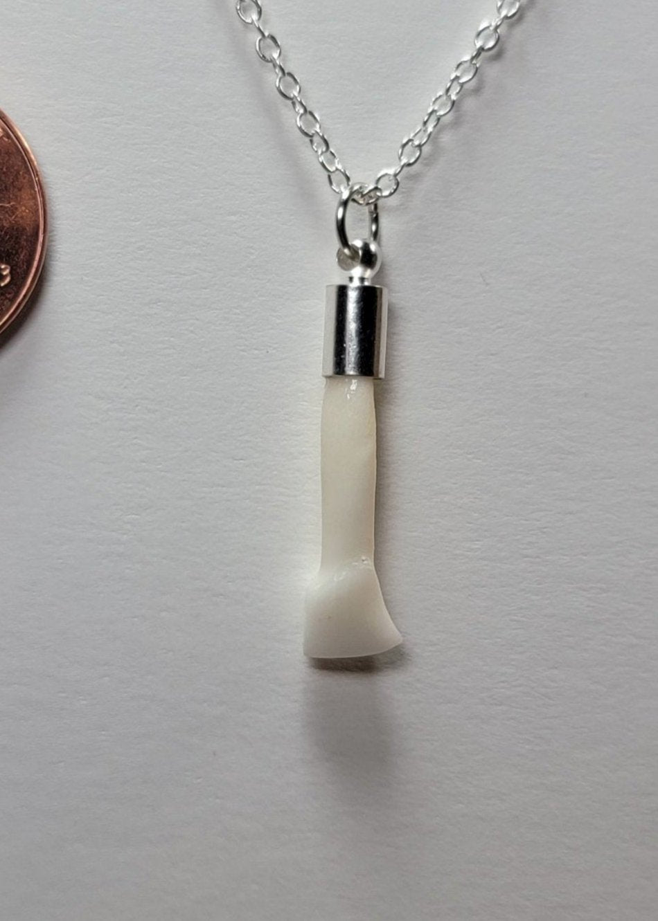 Deer Tooth Necklace Silver Chain