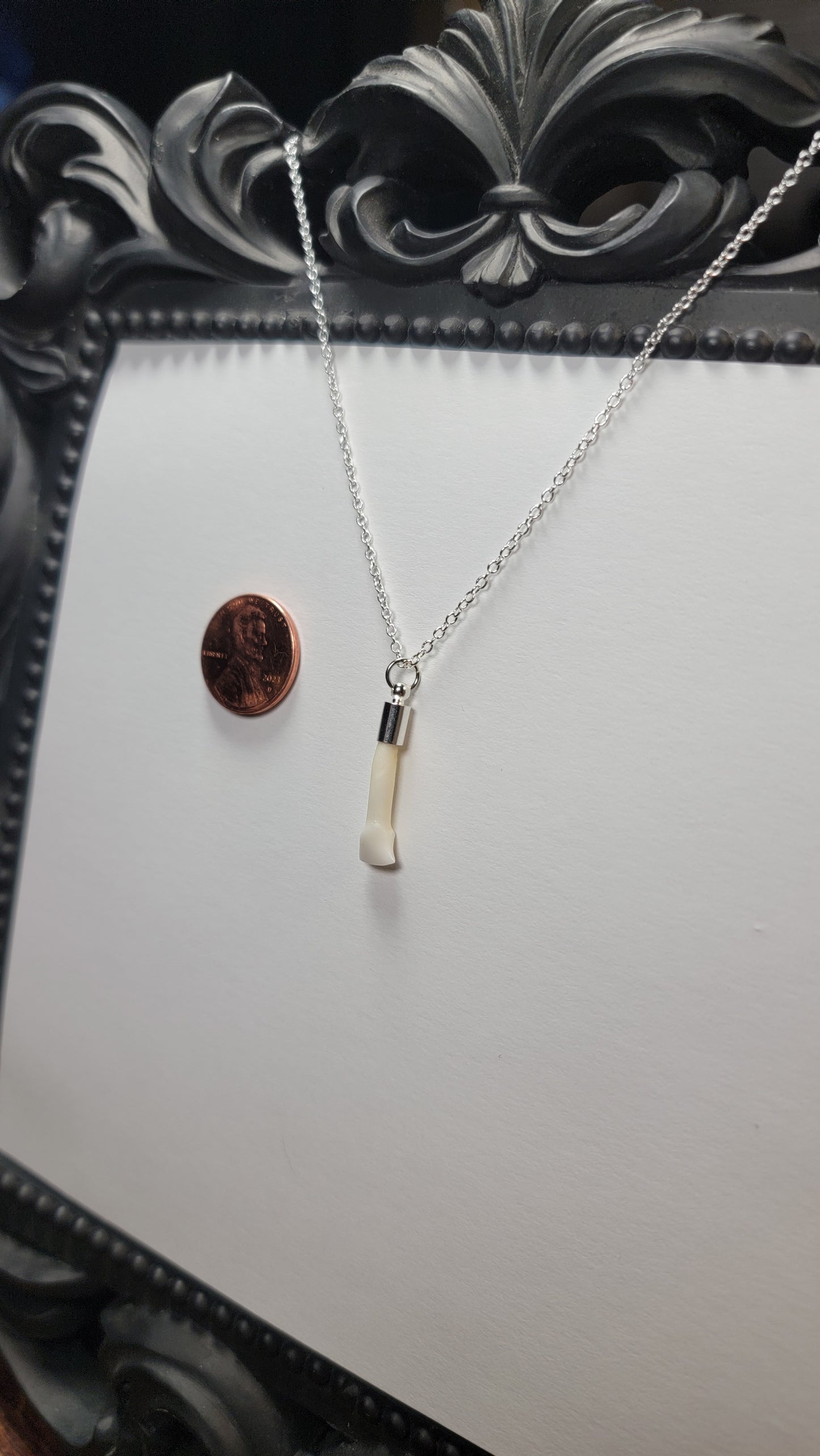 Deer Tooth Necklace Silver Chain