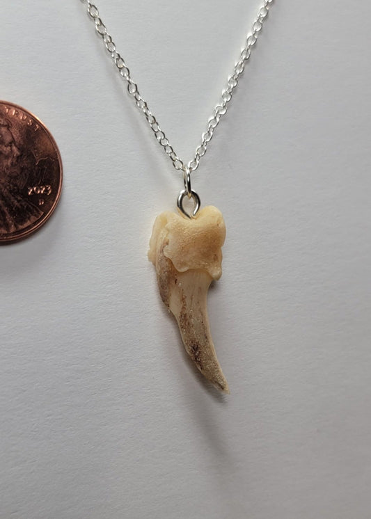 Badger Claw Bone Necklace