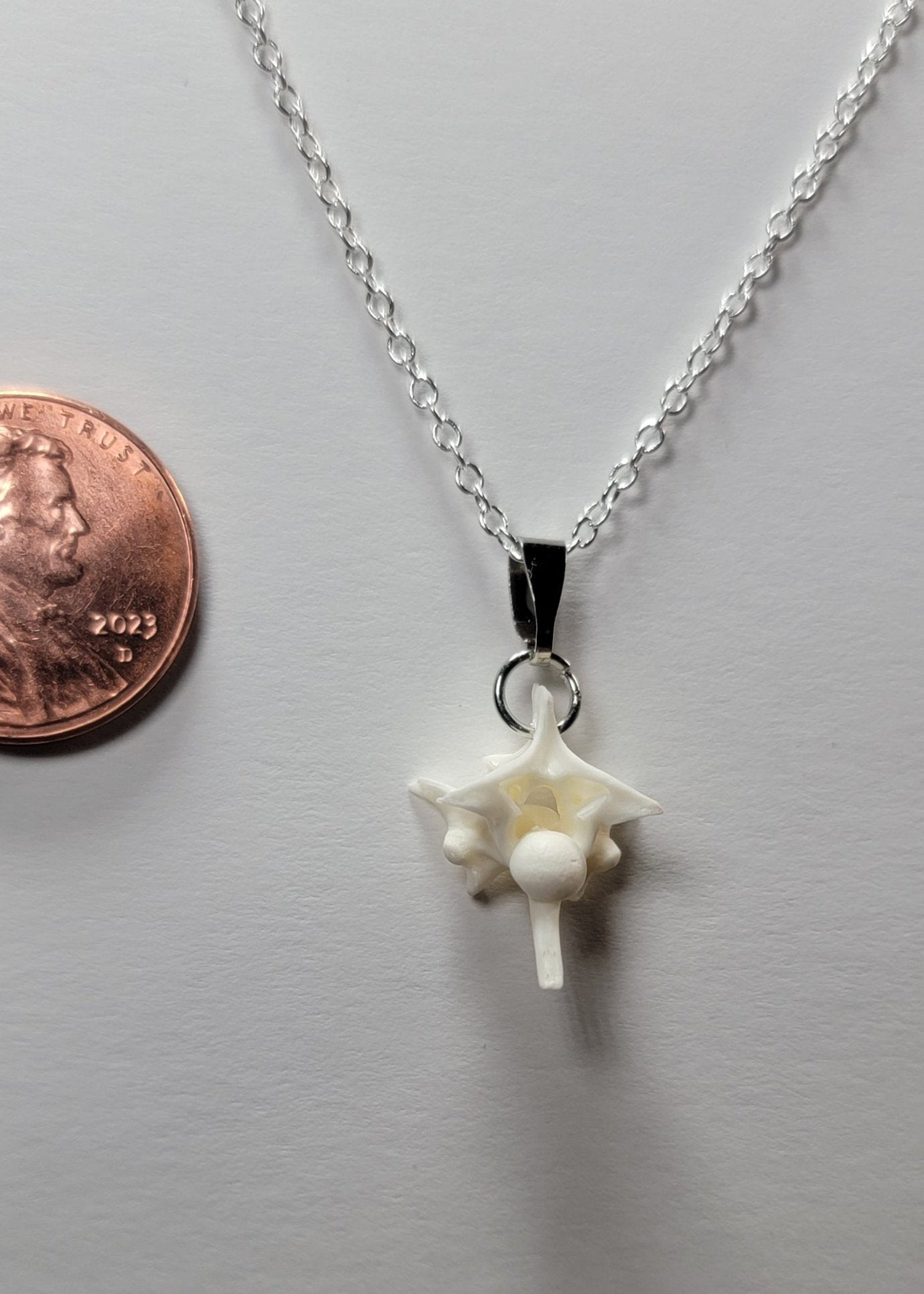 Single Rattlesnake Vertebrae Necklace