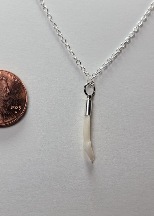 Dainty Deer Tooth Necklace