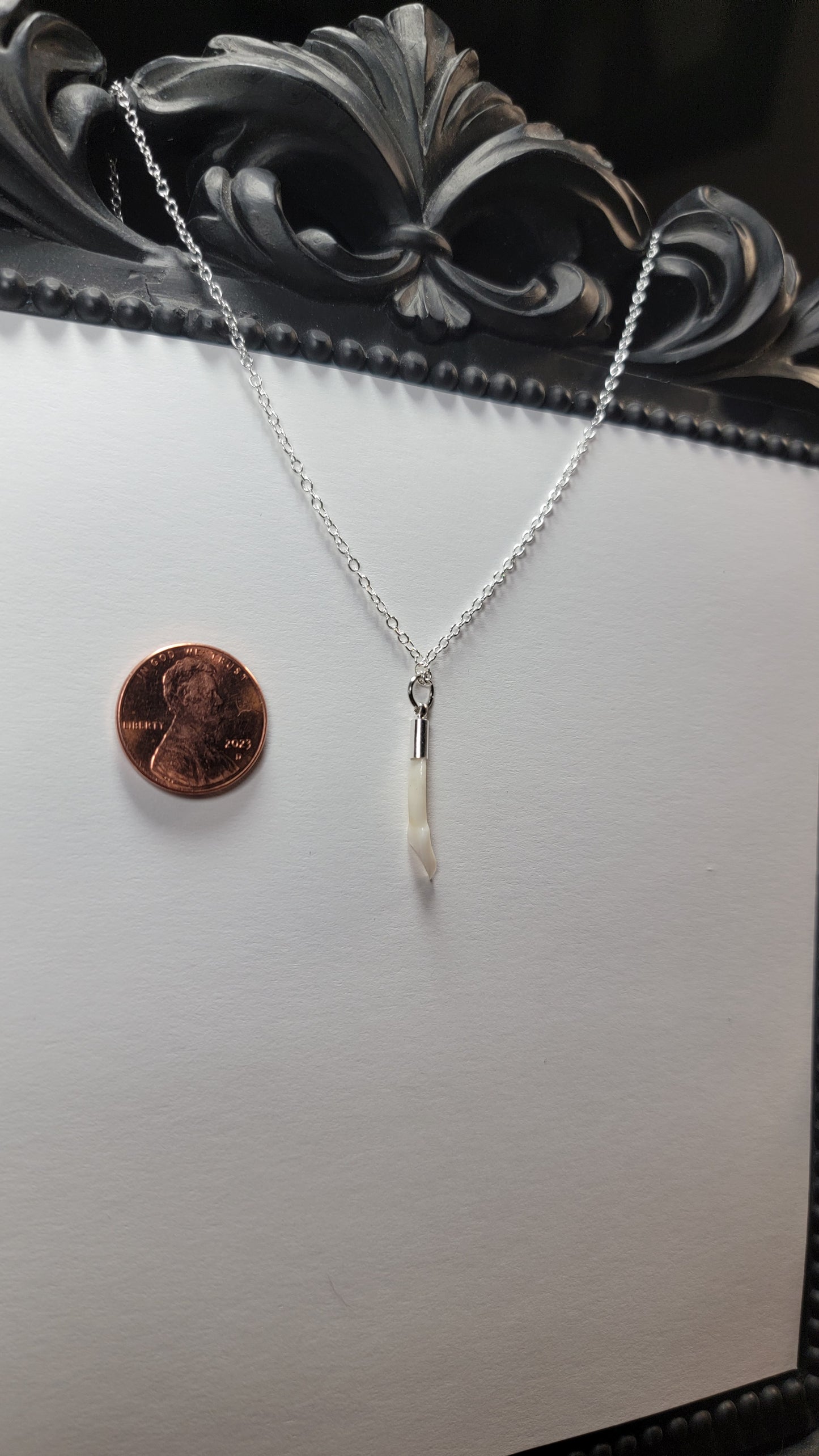 Dainty Deer Tooth Necklace