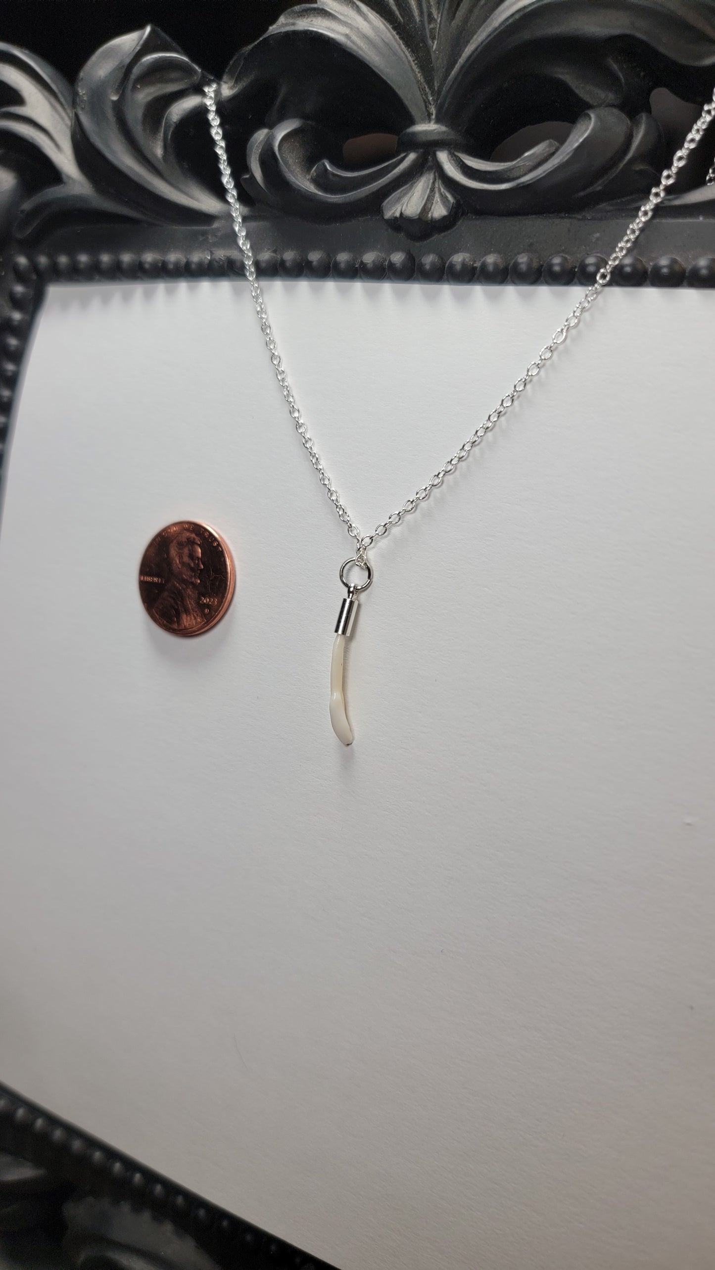 Dainty Deer Tooth Necklace