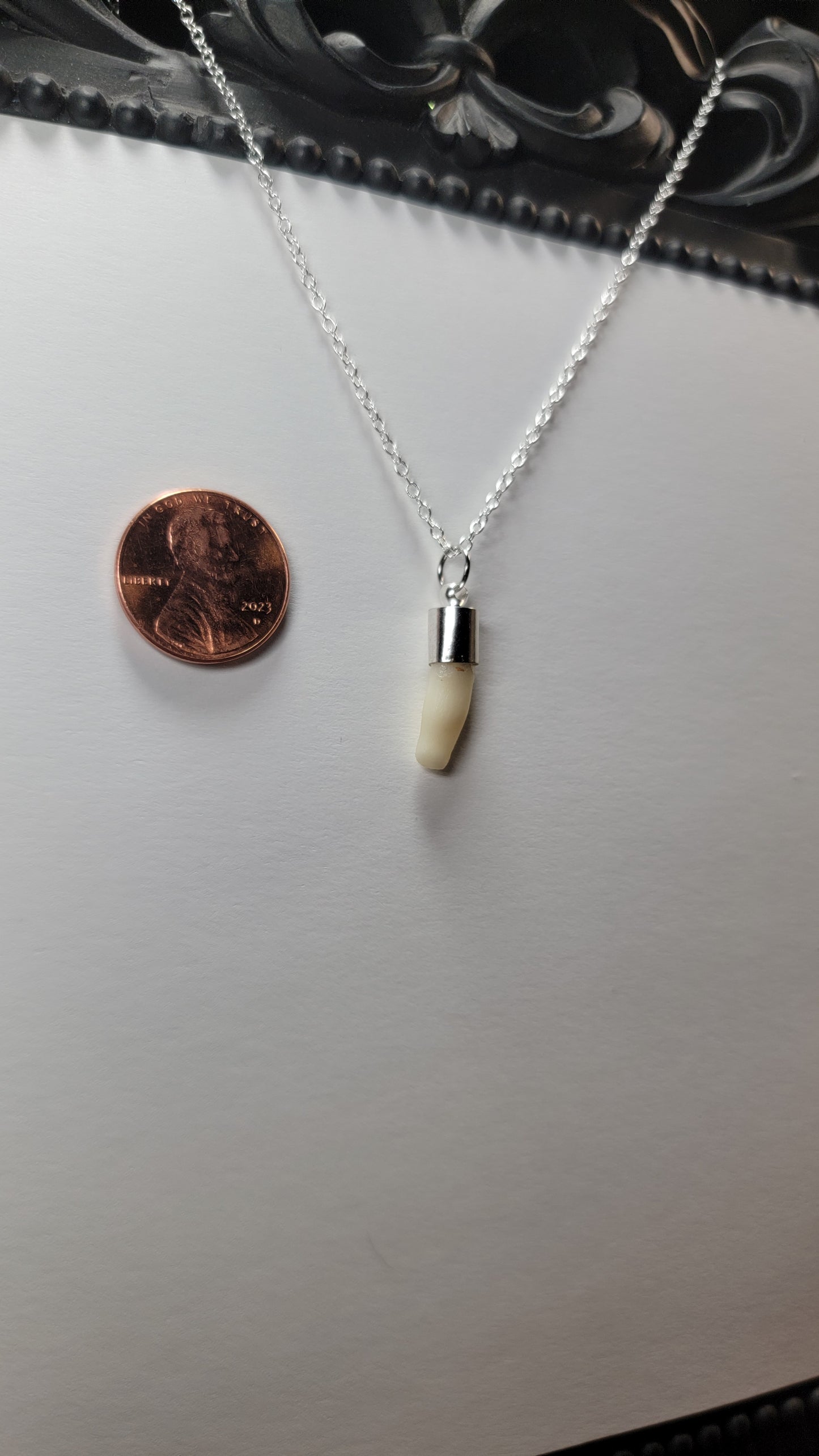 Dainty Deer Tooth Necklace