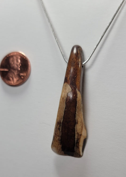 Tea stained Bison Tooth Necklace with Silver Chain