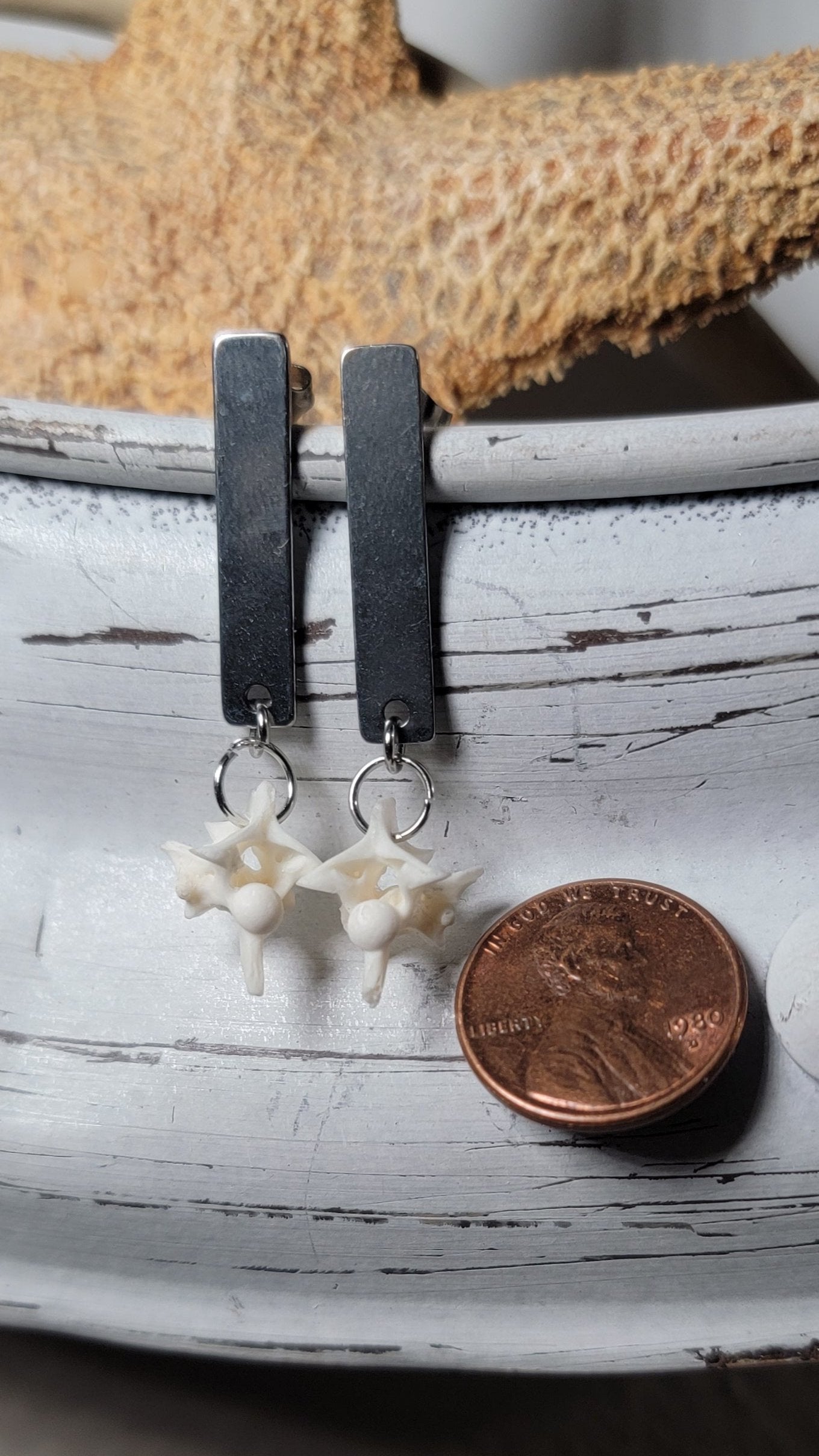 Minimalist Silver Rectangle with Rattlesnake Vertebrae Earrings