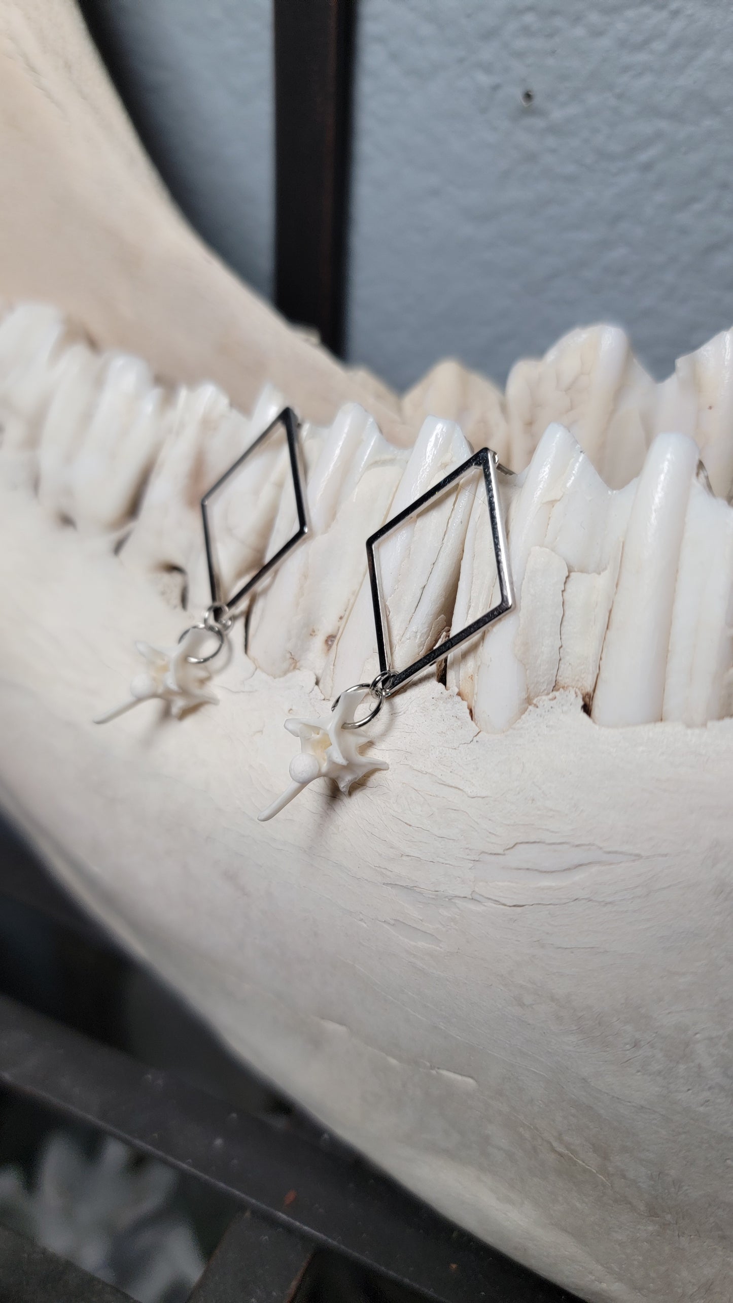 Minimalist Silver Diamond Shaped with Rattlesnake Vertebrae  Earrings