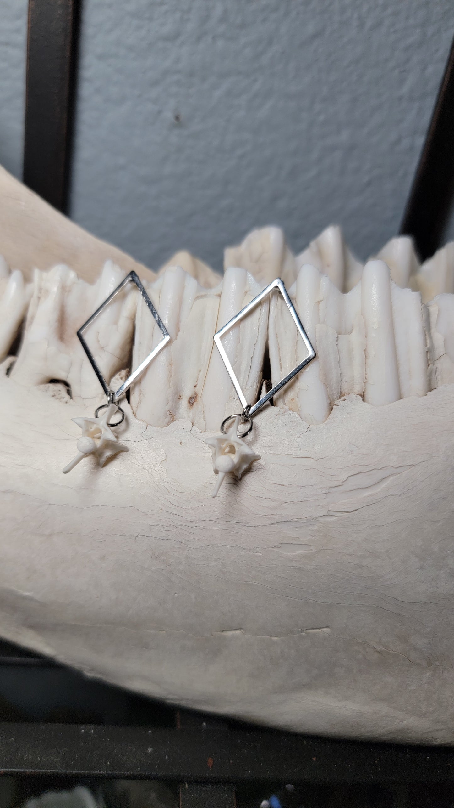 Minimalist Silver Diamond Shaped with Rattlesnake Vertebrae  Earrings