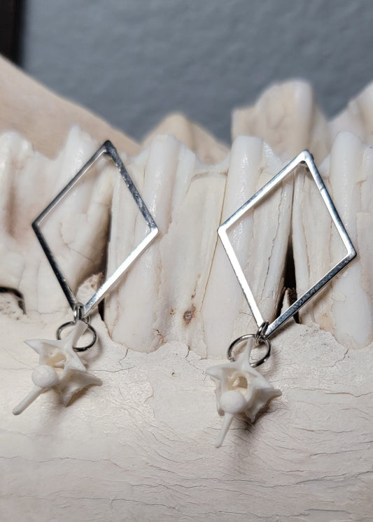 Minimalist Silver Diamond Shaped with Rattlesnake Vertebrae  Earrings