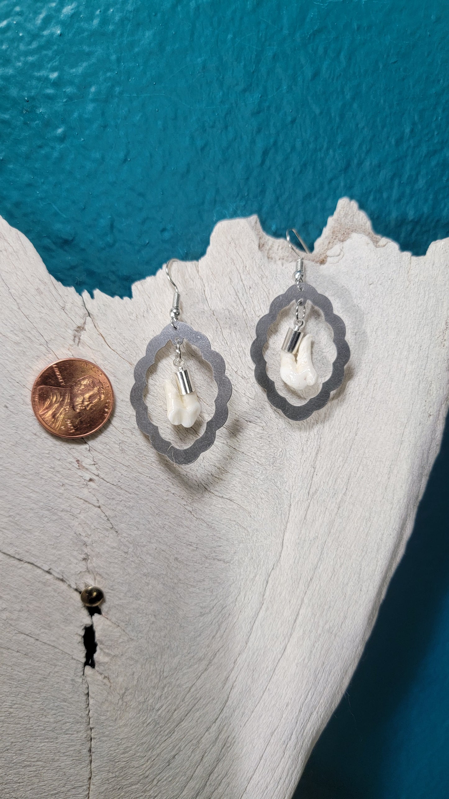 Scalloped Silver Frames with Opossum Teeth Earrings