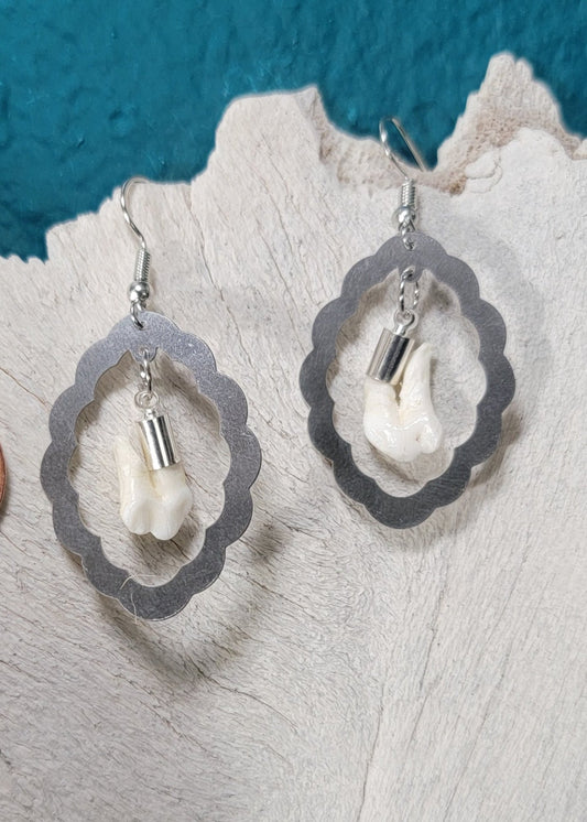 Scalloped Silver Frames with Opossum Teeth Earrings