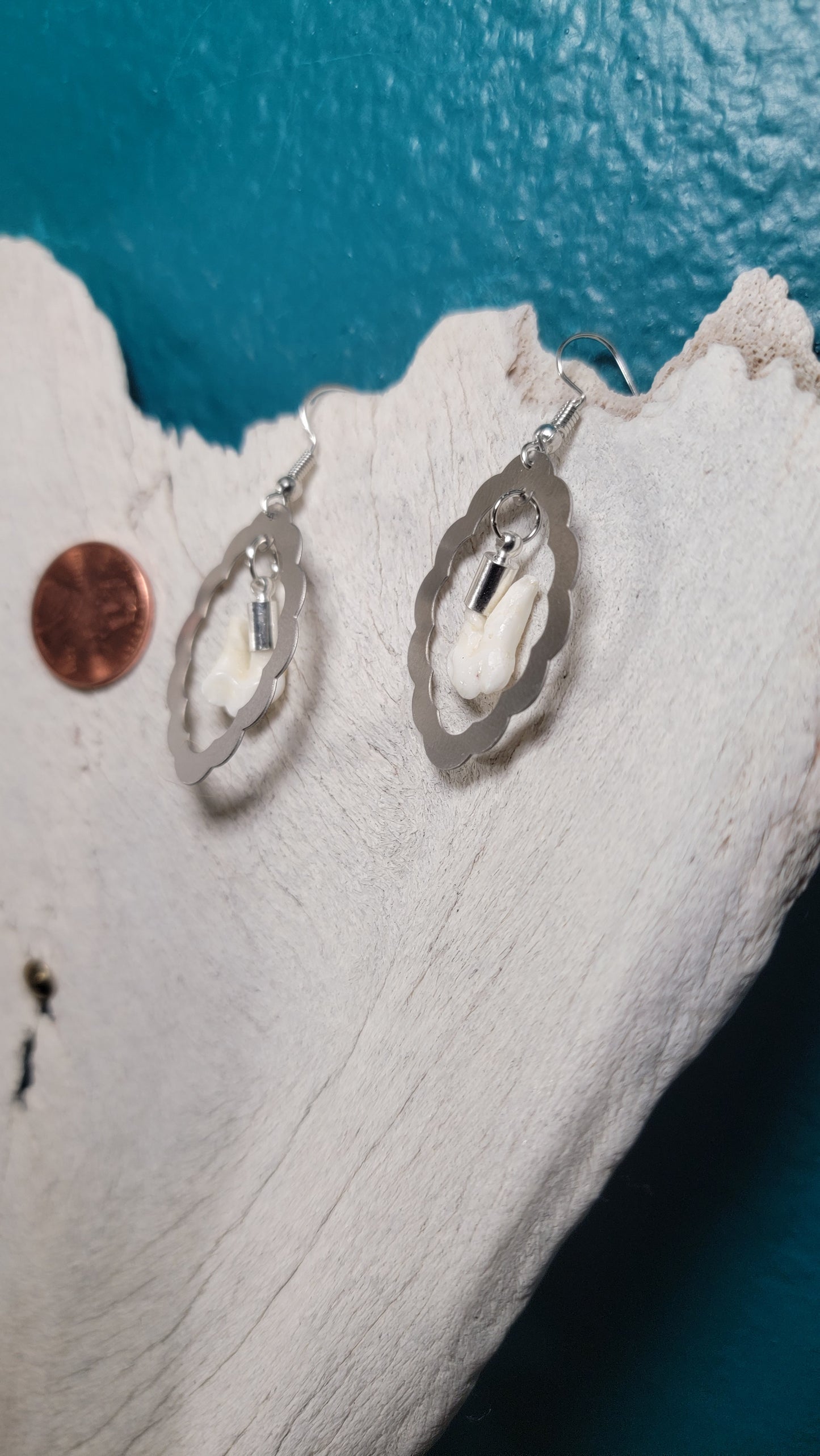 Scalloped Silver Frames with Opossum Teeth Earrings