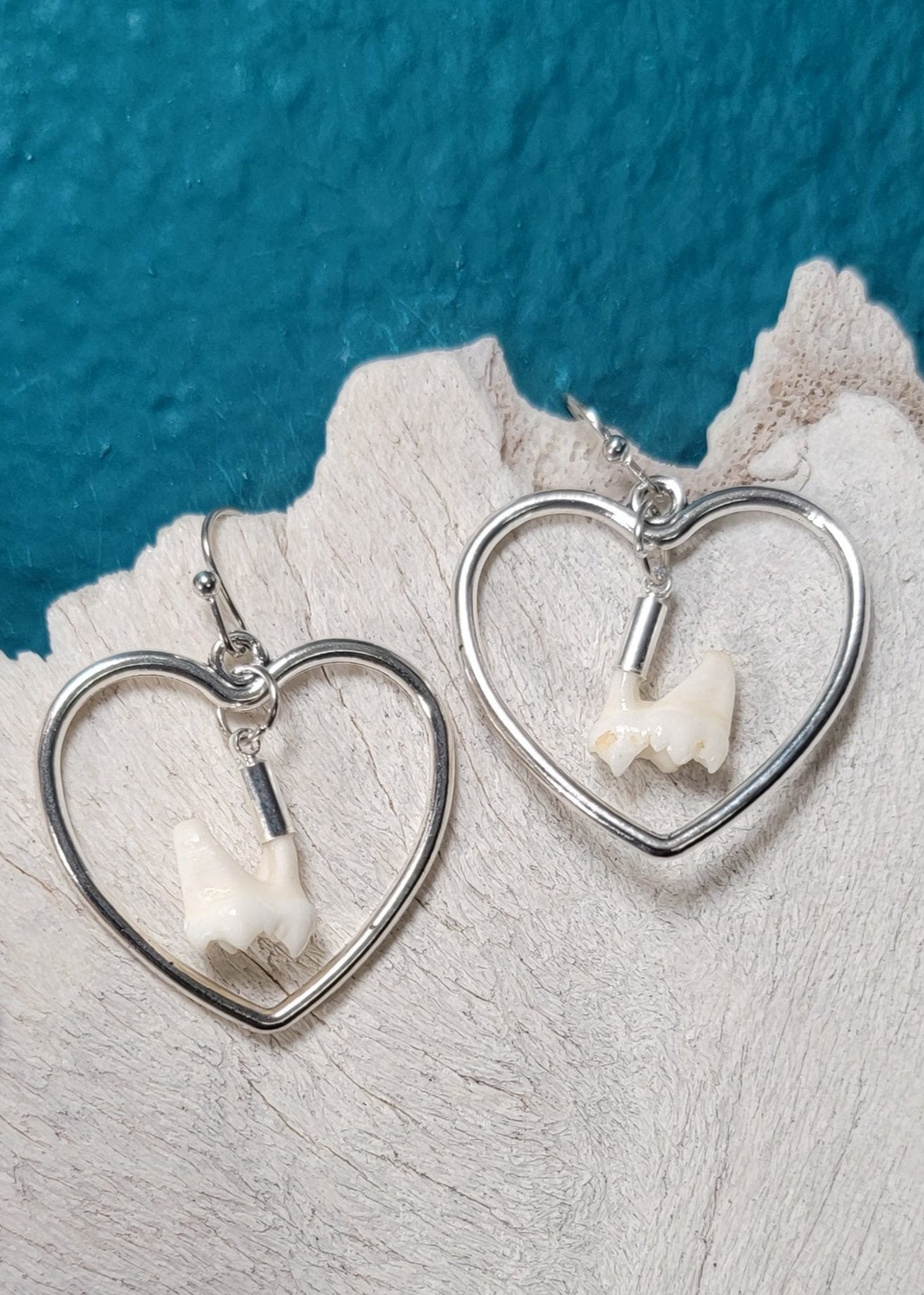 Silver Heart Raccoon Molar Earrings