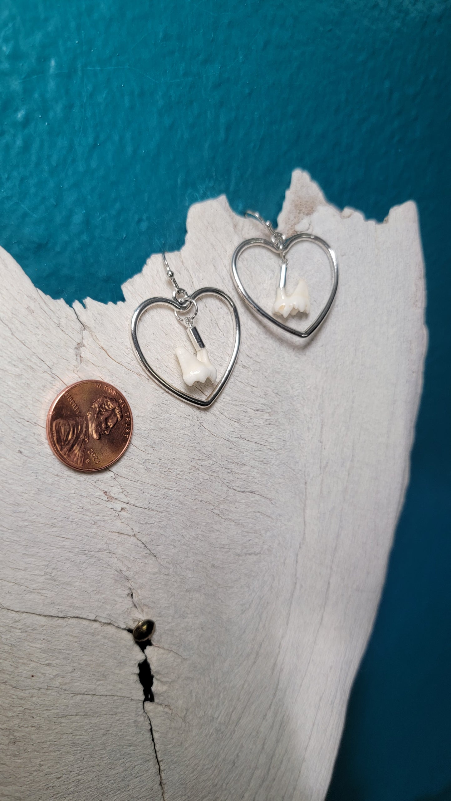 Silver Heart Raccoon Molar Earrings