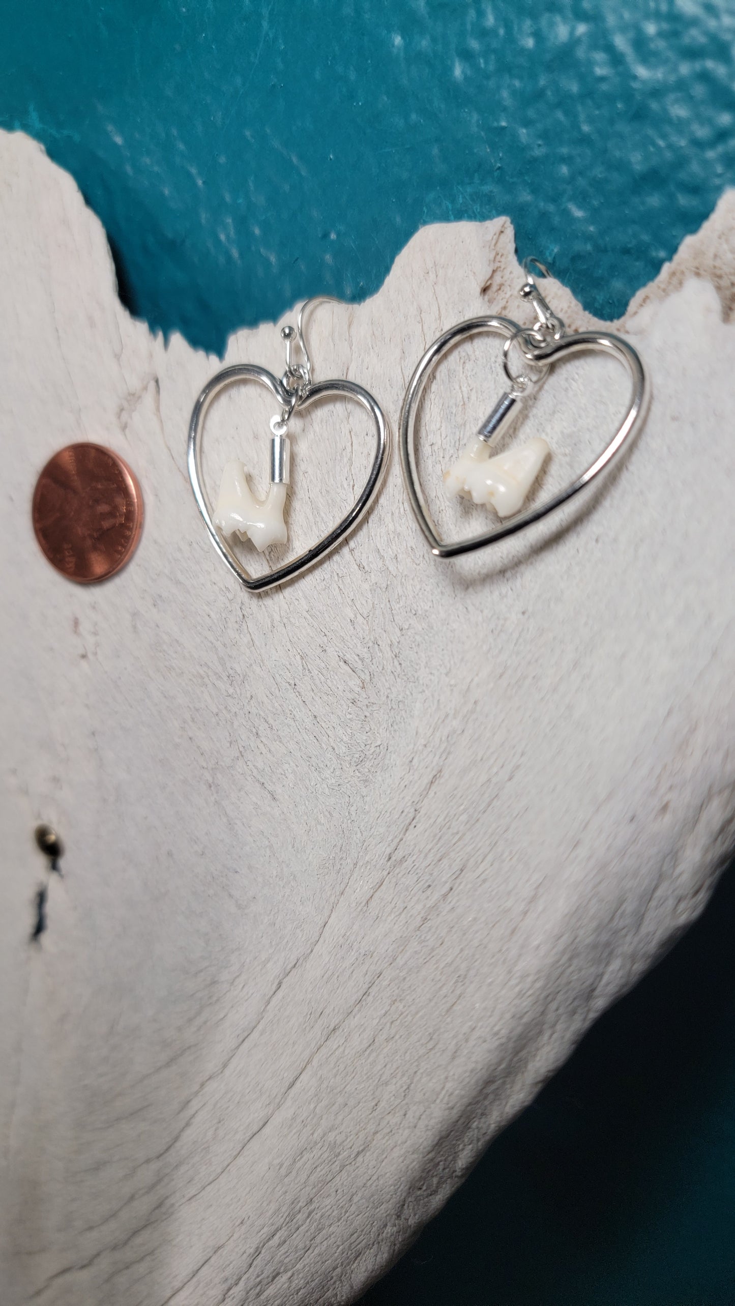 Silver Heart Raccoon Molar Earrings