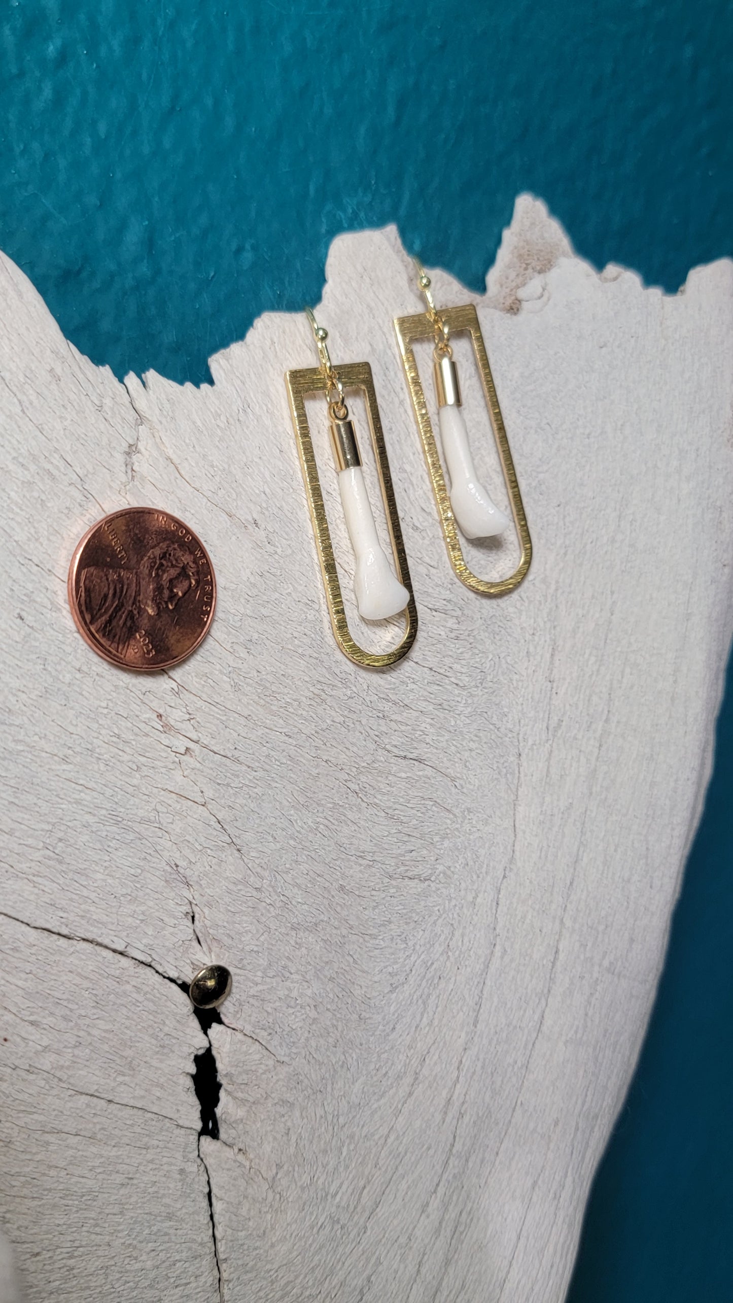 Oblong Deer Teeth Earrings