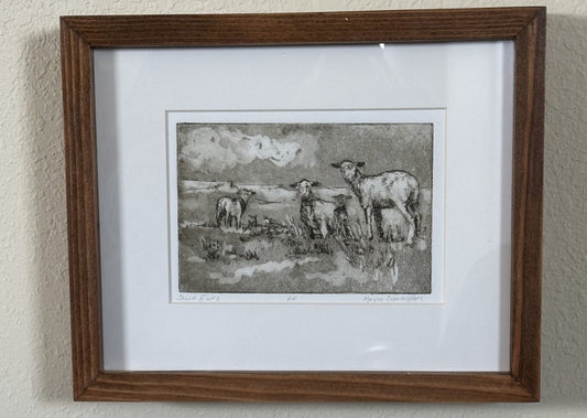 " Shorn Ewes " Artist's Proof of Shorn Sheep