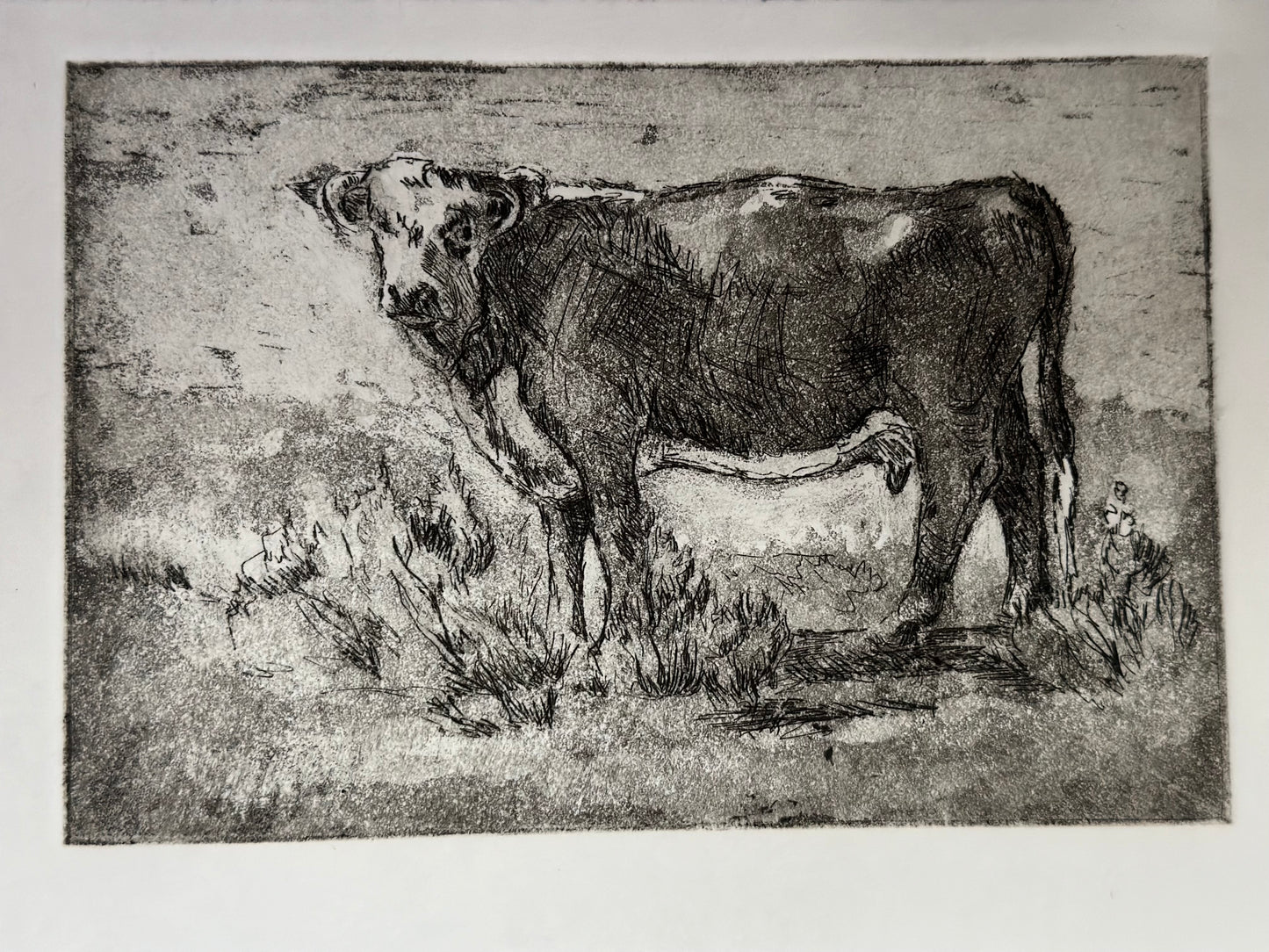 " Grand Lady " Artist's Proof of Hereford Cow