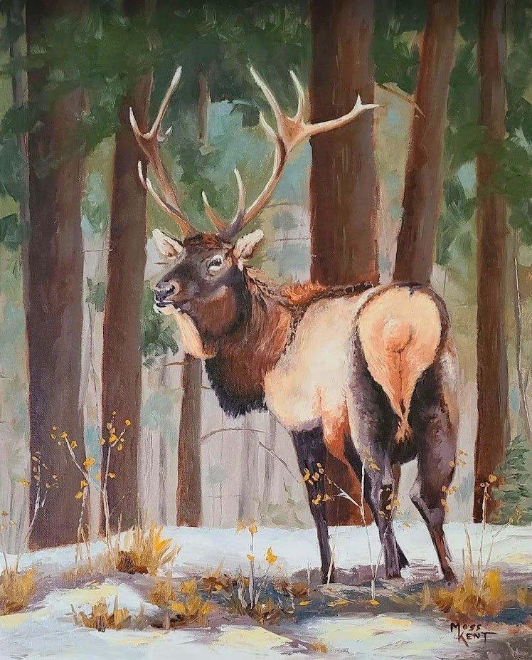 " His Majesty " Elk Original Oil Painting