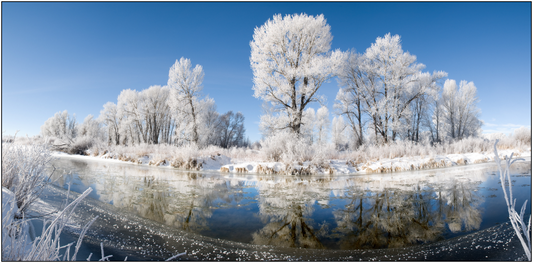 " Frosted Laramie River " Greeting Card