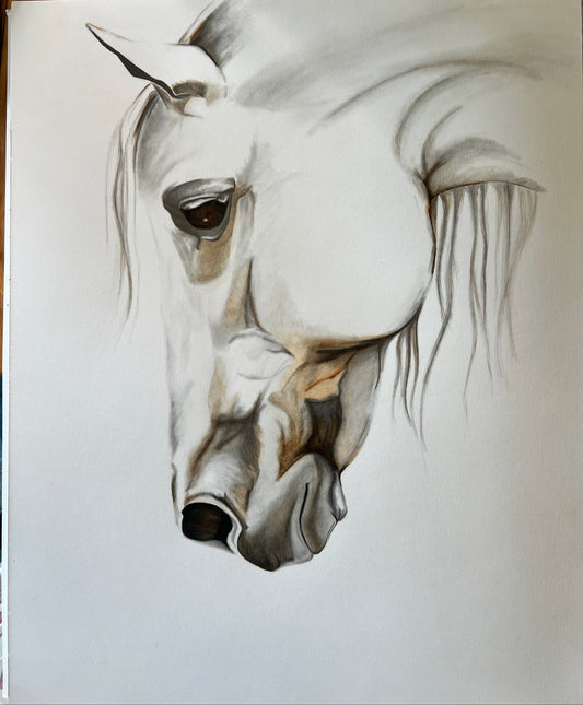 "Light Horse" Watercolor Art