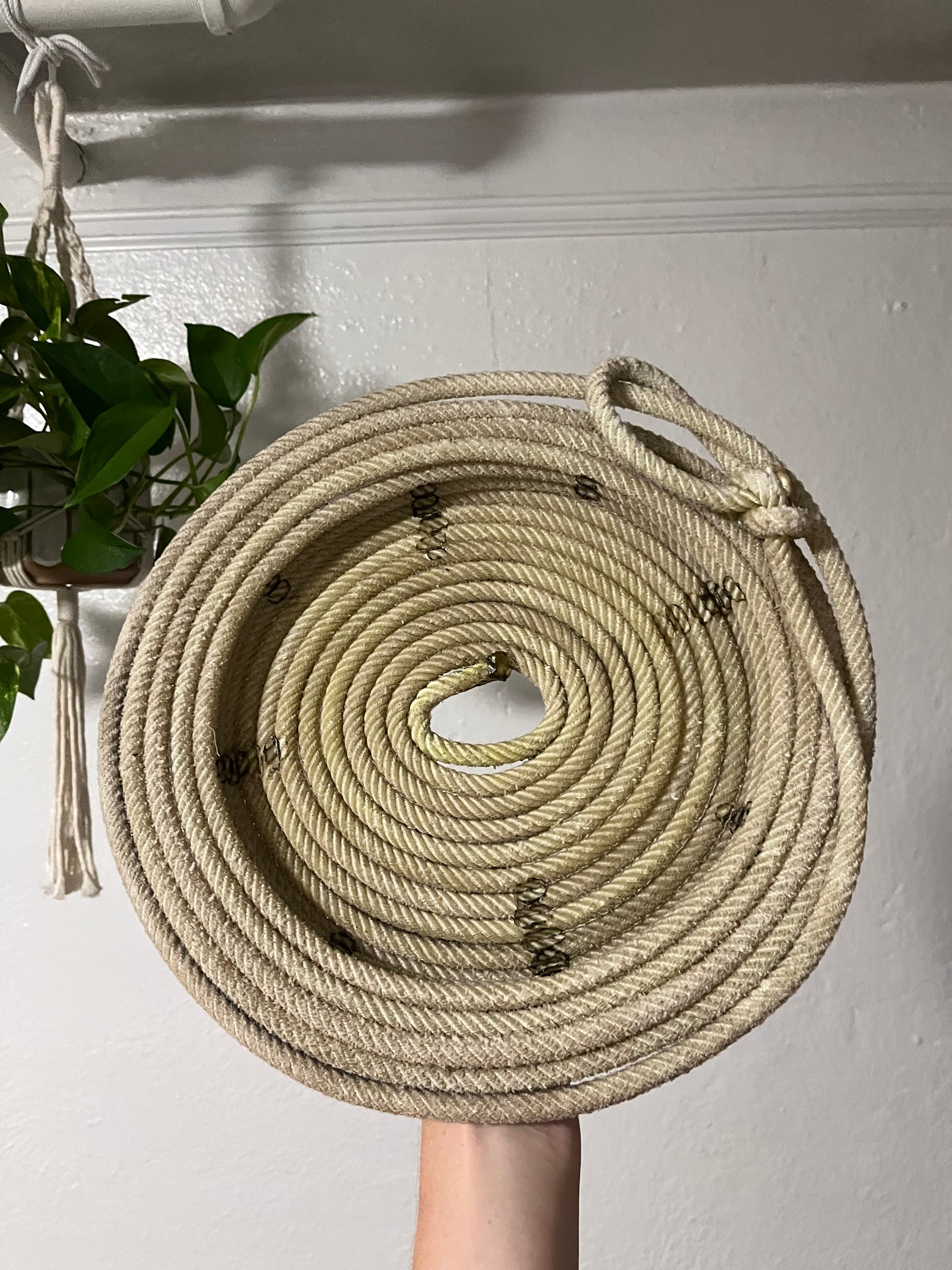 Decorative Green Flat Rope Basket – Works of Wyoming Gift n Gallery