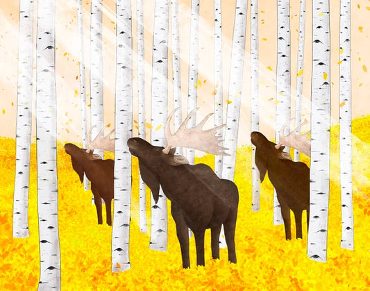 " Autumn Light  " Moose and Aspen Trees Digital Art Print