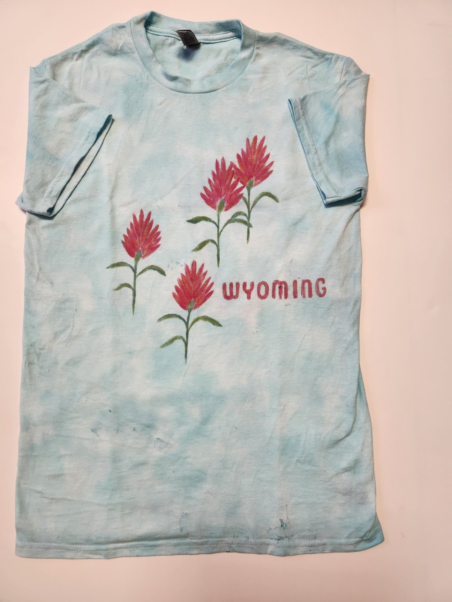 Adult Small " Indian Paintbrush "  Wyoming Tee Shirt