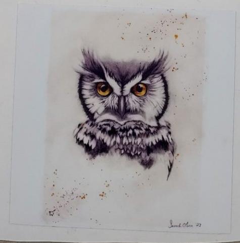 " Owl " Watercolor Art