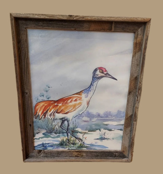 " Woke From A Nap "  Sandhill Crane Original Watercolor Painting