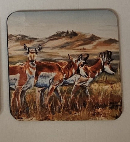 Pronghorn Herd Coaster